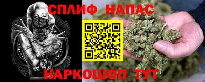 индика Кинель