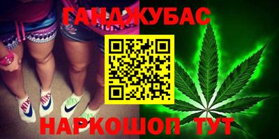 индика Кинель