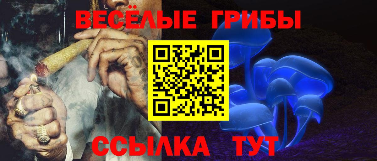 Галлюциногенные грибы мухоморы  Вход с VPN  Дербент 